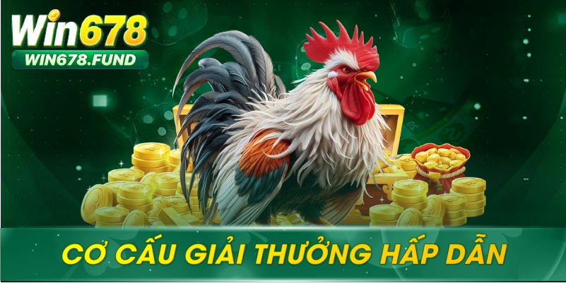 Cơ cấu giải thưởng hấp dẫn